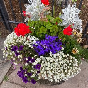 Meet your Posher, Letty